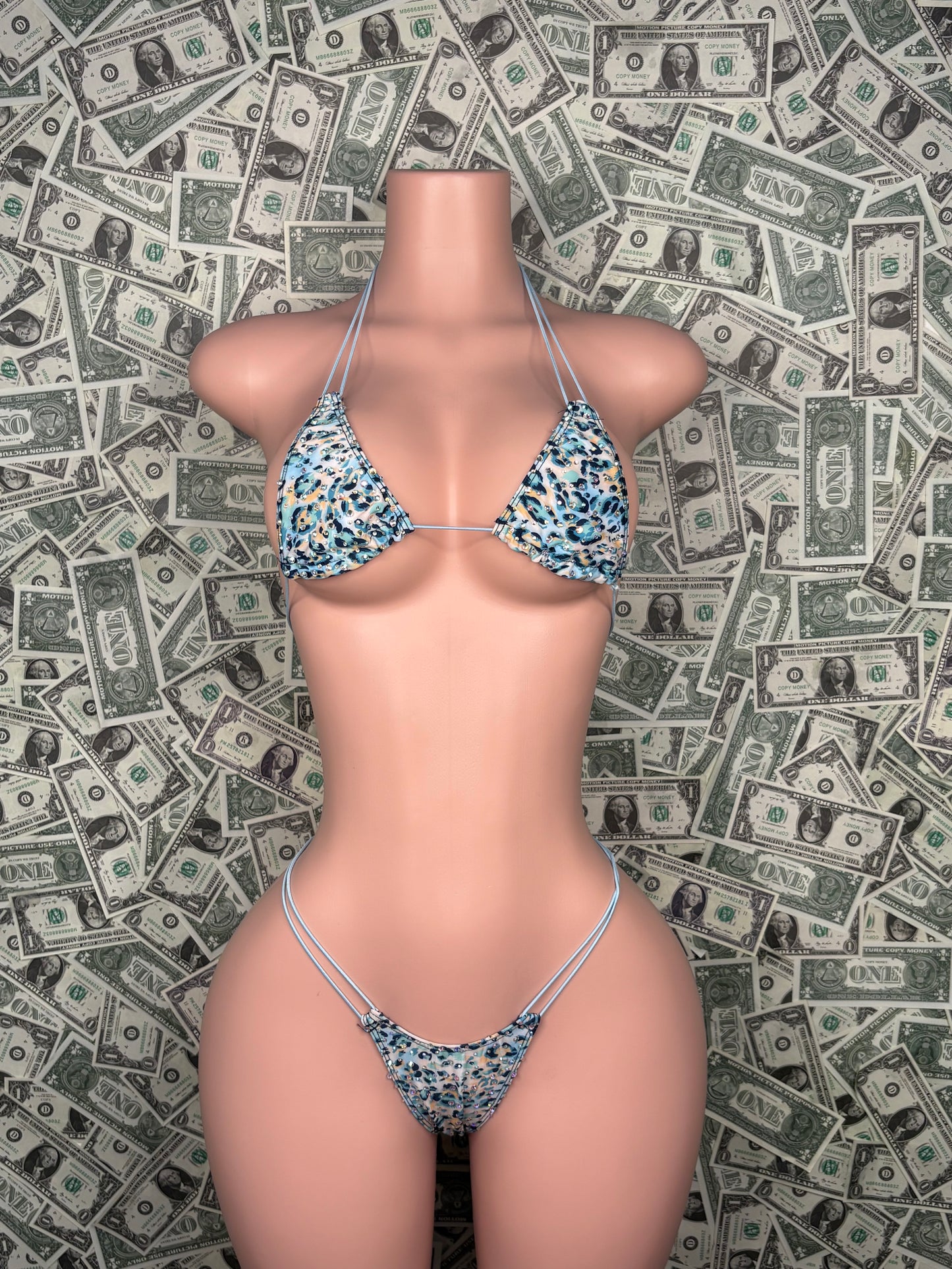 Blue Animal Print Bikini
