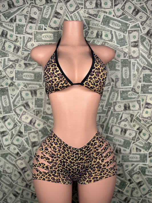 Cut Shorts - Cheetah